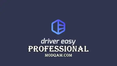 Driver Easy Repack